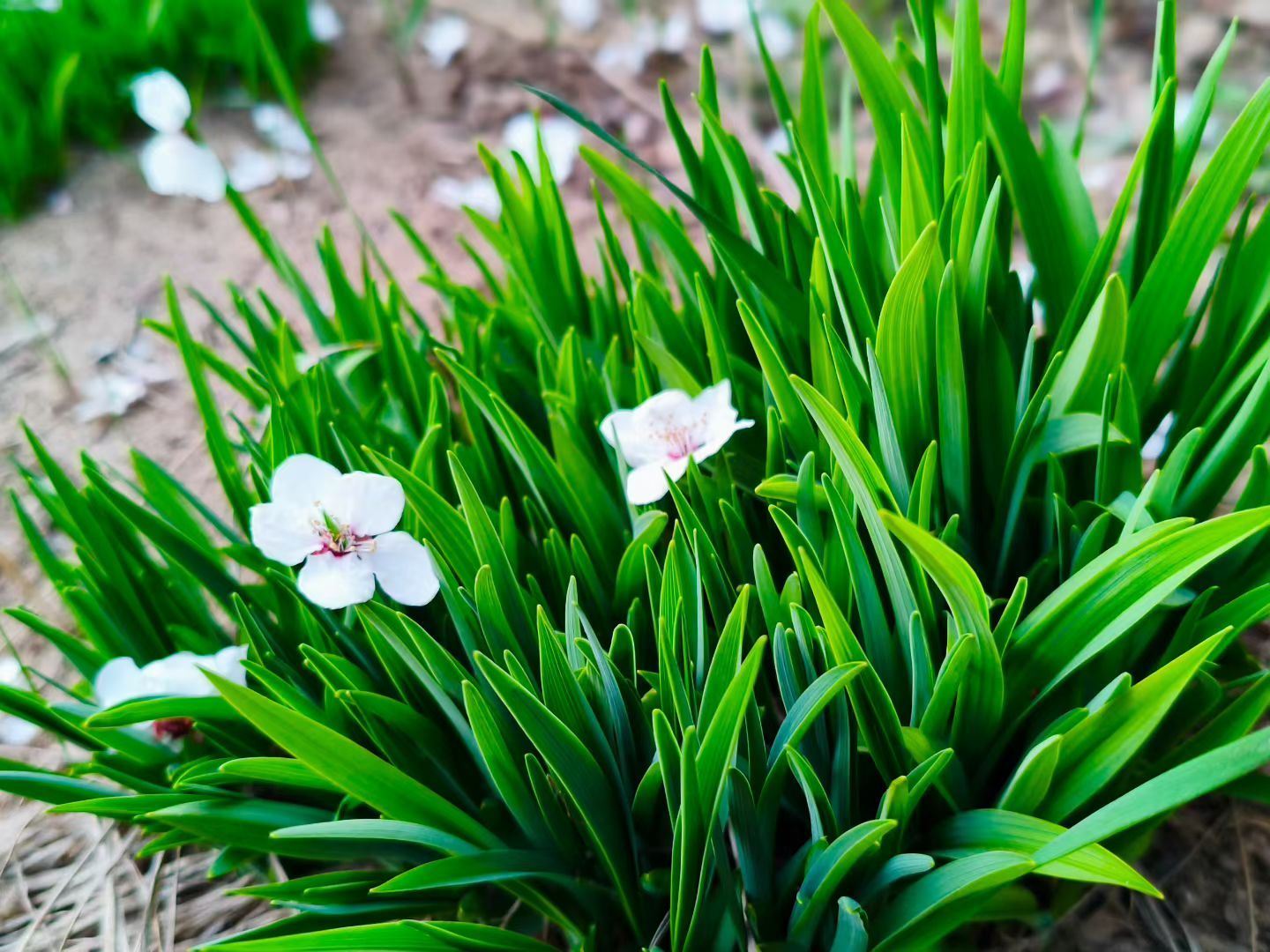 微信图片_20260409162407_88_62