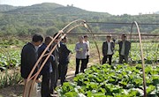 县瓜菜中心产业培训形式多样化