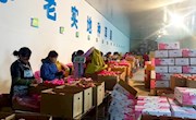宁县庆新果业公司500吨鲜果远销海外