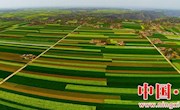 宁县“印象义渠·大美宁县”摄影大赛一等奖作品