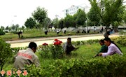 宁县城乡环境整治扮靓家园