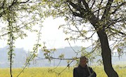 谝传