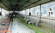 宁县焦村乡养殖户杜耀恒给羊添加草料