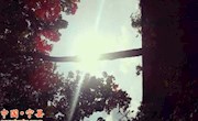 夕阳无限好