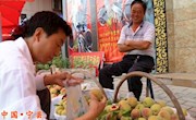 宁县：一担黄甘桃 卖了1400元