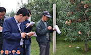 瓦斜积极筹备农民运动会和金秋果会