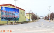 宁县村支书杨军荣获全国劳动模范