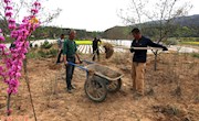 宁县奏响义渠古国文化旅游产业开发最强音