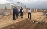 李鹏飞一行调研新庄镇重点项目建设