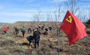 党员做先锋  荒山变绿林