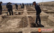最是一年春光好，造林添绿正当时