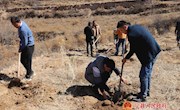 盘克镇组织干部群众开展义务植树活动