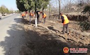 春荣镇：全员参与 共建美丽家园