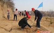 早胜镇掀起春季植树造林热潮