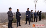 李鹏飞到和盛镇督查调研苗林结合培育工作