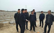 县农业农村局副局长雷宏祥一行调研春荣镇农民专业合作社创建情况