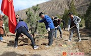 南义乡完成春季植树造林1200亩