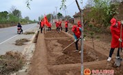 【文明实践  你我同行】南义乡开展美丽家园建设志愿者服务活动
