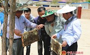 侯昌明到湘乐镇调研精准扶贫工作