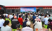 新庄镇185户贫困户喜获入股分红29万元