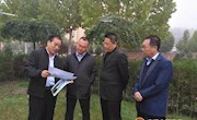 马应乐调研宁县园林创建工作