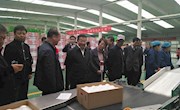 全市供销系统促进苹果销售工作现场会在宁县召开