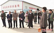 三门峡市政协来宁县考察苹果产业发展