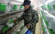 张俊宁：返乡养兔探寻致富路