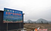 真帮实干暖民心