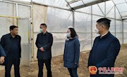 罗睿调研北川万亩设施瓜菜基地建设及生产工作