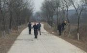 金村乡：修剪行道树枝 净化乡村环境