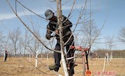 惊蛰时节：人勤春来早 乡村农事忙