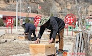 金村乡：人勤春来早 春暖花开养蜂忙