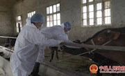 宁县畜牧局：坚持多措筑牢畜牧防疫“防护网”