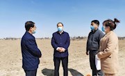 李鹏飞到西区南区乡镇督查调研农业生产工作