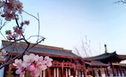 春光无限好     春游正当时