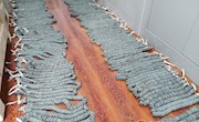 宁县博物馆出土古钱币清理工作圆满完成