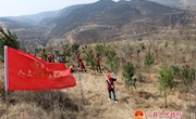 南义乡开展义务植树活动