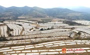 九岘乡扎实做好春耕生产工作