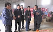 省供销联社调研组来我县调研