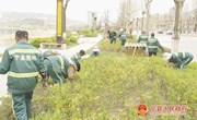 宁县加快园林春季养护 打造山水宜居城市