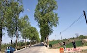 新庄镇启用无人机参与全域无垃圾治理