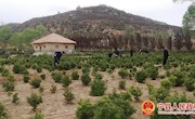 湘乐镇：多措并举增内涵 综合治理提颜值  