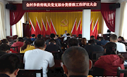 金村乡召开政府机关党支部分类晋级工作评议大会  