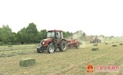 宁县：牧草产业拓宽群众增收致富路 