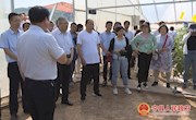 全市苹果、设施瓜菜农药减量使用集成技术与农村实用人才现场会在宁县举行