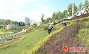 宁县园林绿化管理局：炎炎夏日修剪忙