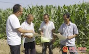 宁县多措并举开展草地贪夜蛾防治工作