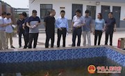 市政协调研宁县开展优先实施黄河上游甘肃段重点区域生态保护与高质量发展项目建设