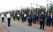 贠建民卢小亨率团在宁县观摩苹果产业发展情况